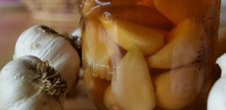 Česnek a voda mě zachránily před celou řadou závažných nemocí. Recept, který mi dala babička na trhu