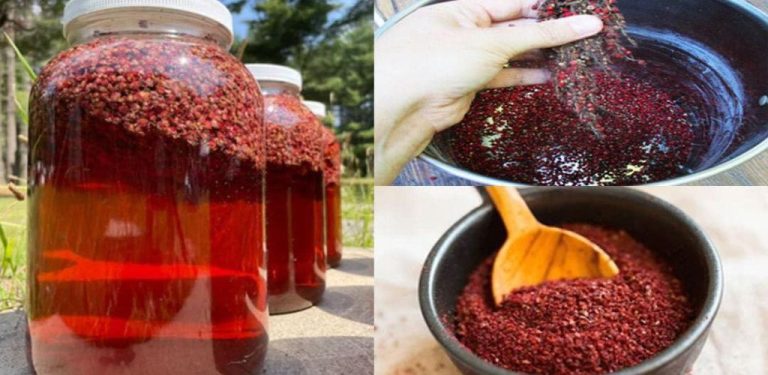 Sumac: Planta Minune cu Beneficii Uimitoare pentru Sănătate, rețetă și mod de consum… 