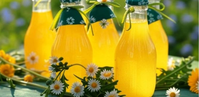 Pili jste někdy limonádu z pampelišek? 🌼 Tento nápoj je opravdový poklad