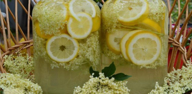 Recept z babiččiných časů – nejlepší domácí bezinkový nápoj, osvěžující a chutný