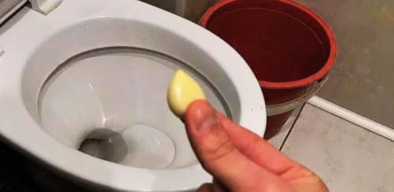 Před spaním jsem hodila česnek do záchodu – a ráno jsem vlastním očím nemohla uvěřit