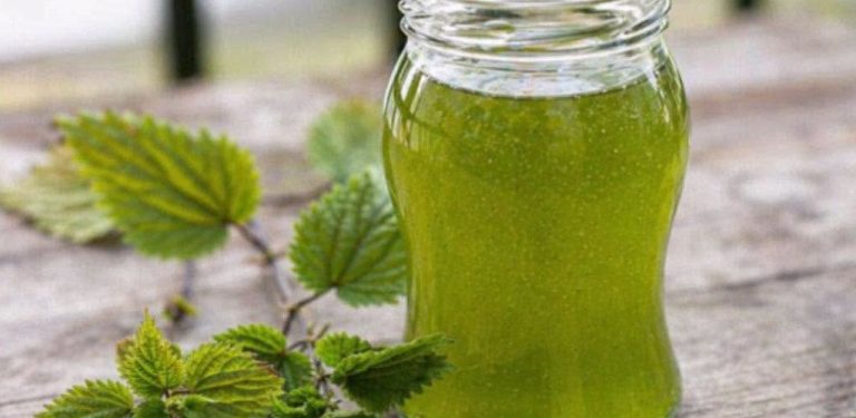 Domácí mátový sirup – jednoduchý, voňavý, osvěžující a ideální pro horké dny…
