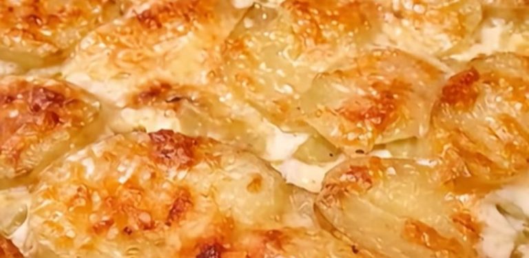 Krémové zapečené brambory, které si zamiluje celá rodina. Jednoduchý recept s dokonale jemnou chutí