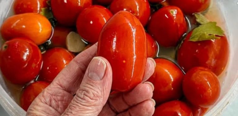Nejlepší recept na lehce kvašená rajčata, který si v naší rodině předáváme už celé roky