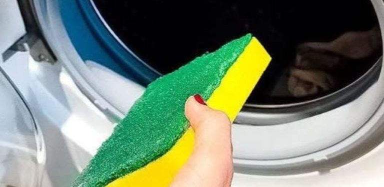 Houbička na nádobí v pračce? Jednoduchý trik, který může pomoci odstranit vlasy a chlupy z prádla