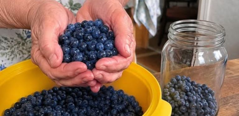 Jak uchovat borůvky na několik měsíců: domácí způsob ve sklenicích