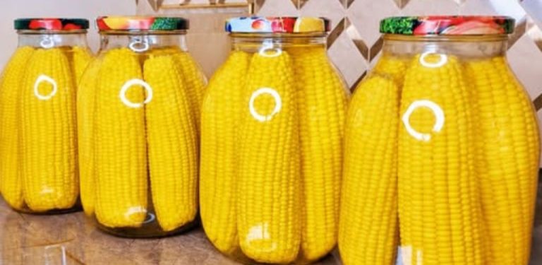 Domácí sterilovaná kukuřice: Jednoduchý recept, díky kterému si chuť léta užijete i v zimě 🌽